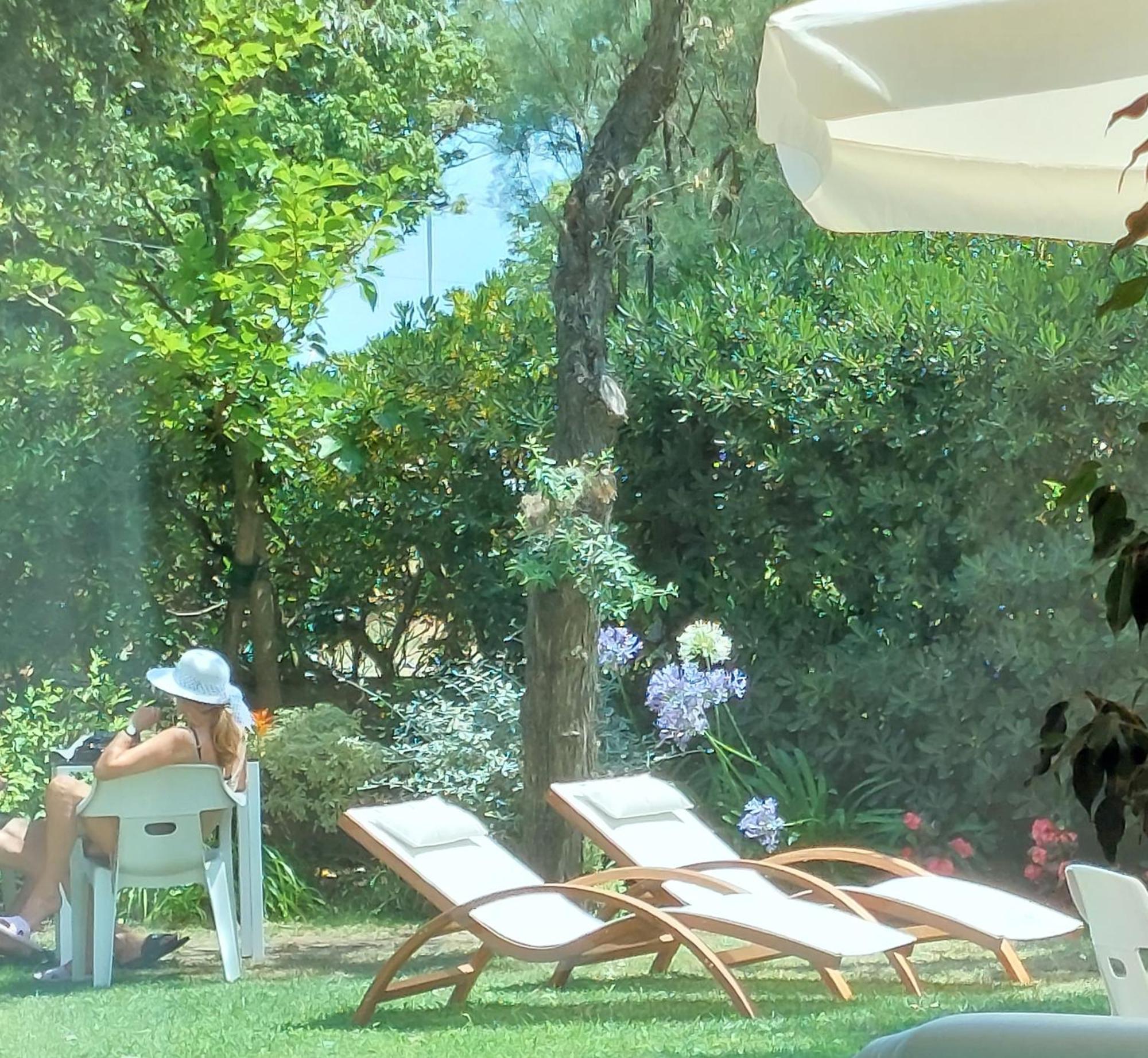 Hotel Astor B&B Lido di Classe Eksteriør bilde